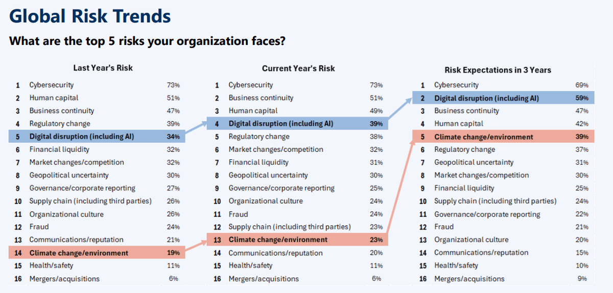 Institute of Internal Auditors Risk Focus 2025